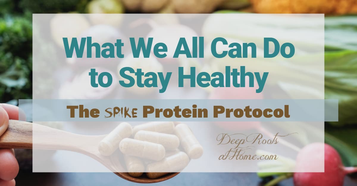 The Spike Protein Protocol: What We All Can Do to Get & Stay Healthy The Spike Protein Protocol: What We All Can Do to Get & Stay Healthy