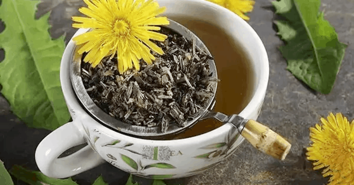 cup of dandelion tea