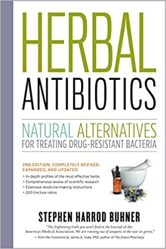 Free Antibiotic that Grows in the Woods for UTIs, Lung Infections, Strep
