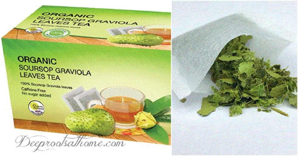 soursop or graviola tea