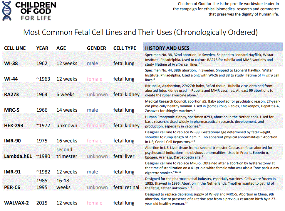 Who Are the Babies Who Got a Number Instead of a Name? cell line chart - fetal cells of babies