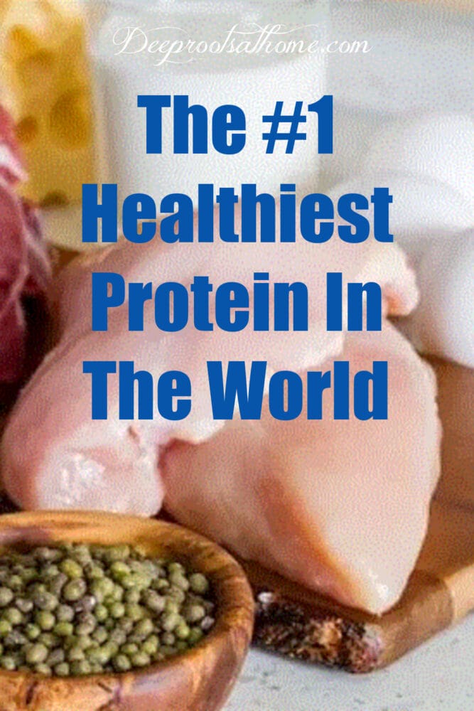 The No. 1 Healthiest Protein In The World