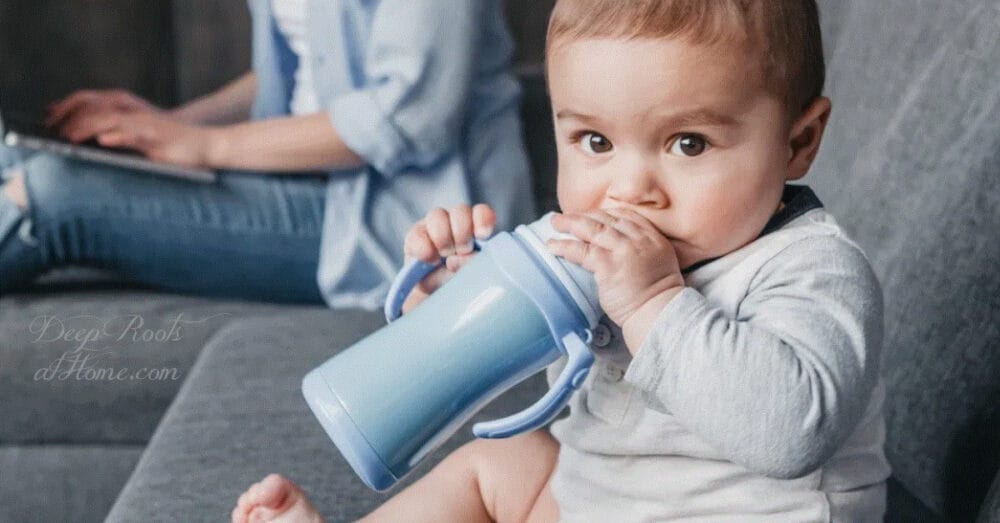Highly-Digestible Homemade Mt. Capra Goat Milk Baby Formula Highly-Digestible Homemade Mt. Capra Goat Milk Baby Formula