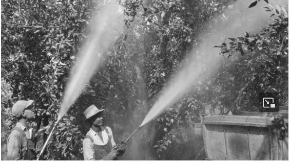 16 Facts about Polio, SV40 Contamination & Cancer in Vaccine 16 Facts about Polio, SV40 Contamination & Cancer in Vaccine