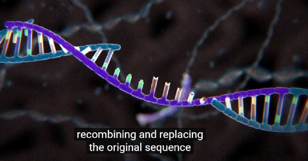 My News Roundup & Hard Evidence mRNA Stabs Modify DNA My News Roundup & Hard Evidence mRNA Stabs Modify DNA