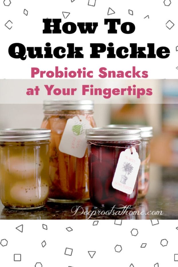 Quick Pickling Recipes & Tips: Probiotic Snacks at Your Fingertips
