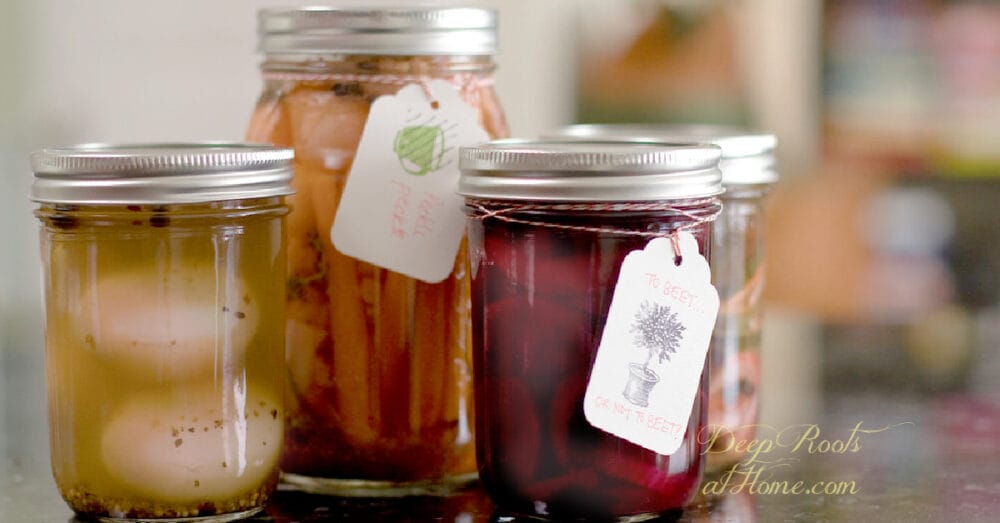 Quick Pickling Recipes & Tips: Probiotic Snacks at Your Fingertips