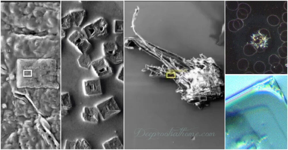 Crazy Objects Found in Blood of the Vacc'd & In Vaccine Vials Crazy Objects Found in Blood of the Vacc'd & In Vaccine Vials