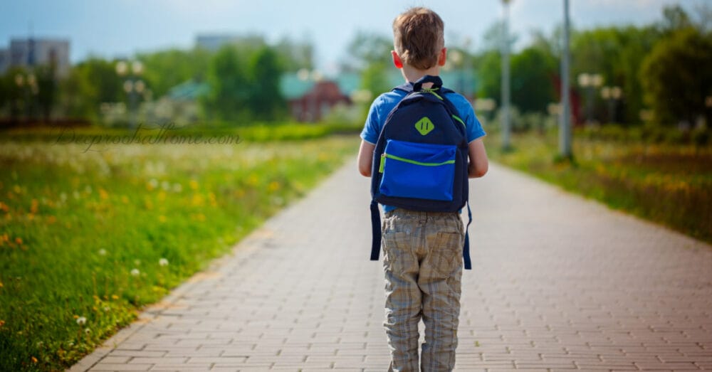 List of States that Say NO to C-19 Vaccine Mandate for School Kids List of States that Say NO to C-19 Vaccine Mandate for School Kids