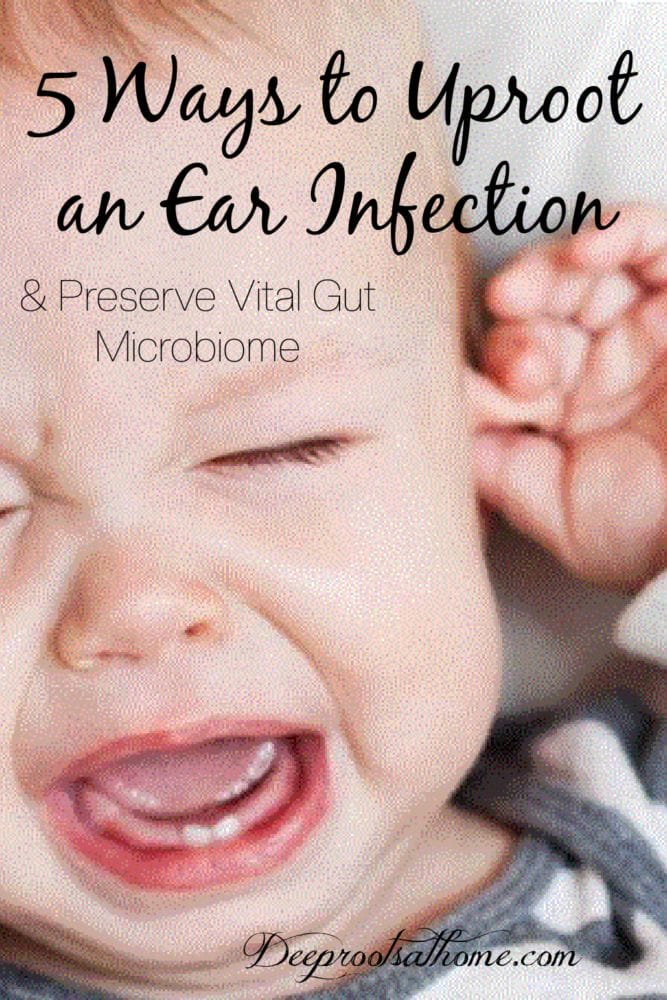 5 Ways to Uproot an Ear Infection & Preserve Vital Gut Microbiome