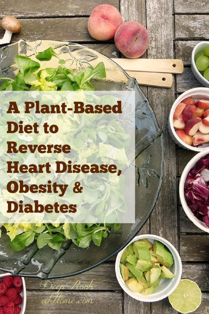 A Plant-Based Diet to Reverse Heart Disease, Obesity & Diabetes