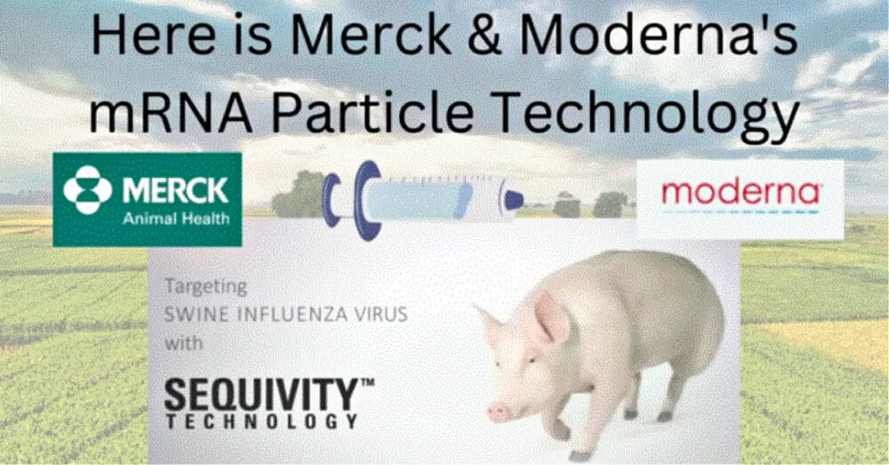 How Long Have You Been Consuming mRNA-Injected Pork? How Long Have You Been Consuming mRNA-Injected Pork?