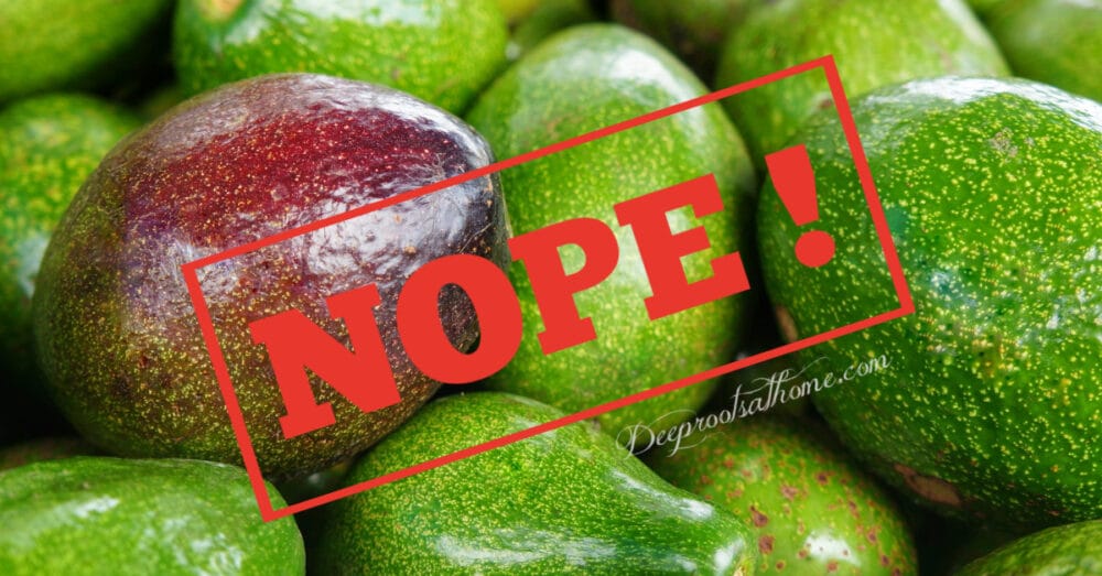 New Facts: Apeel Fruit/Veggie Protective Coating NOT Appealing