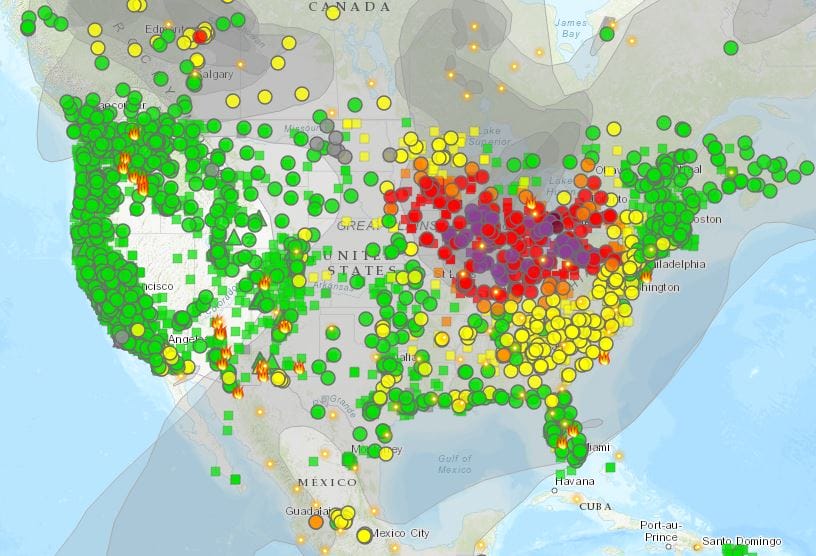 8 Homeopathic Remedies to Protect Lungs from Wild Fire Smoke