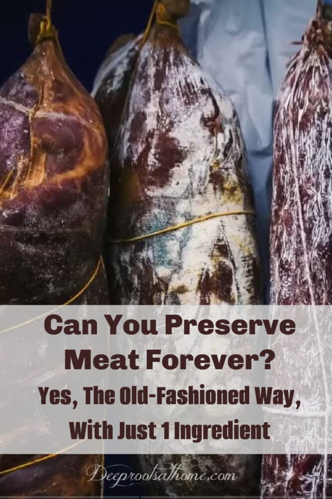 Can You Preserve Meat Forever? Yes, With Just 1 Ingredient!