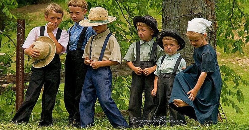 Zero Amish Children Diagnosed with Cancer, Diabetes or Autism