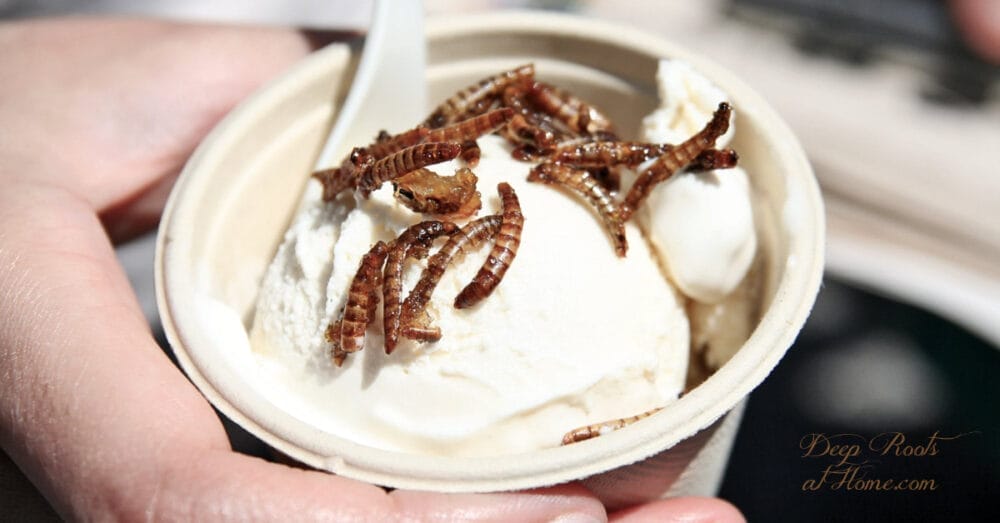 Cricket Powder Showing Up In Your Food: Yes or Yuck? Cricket Powder Showing Up In Your Food: Yes or Yuck?
