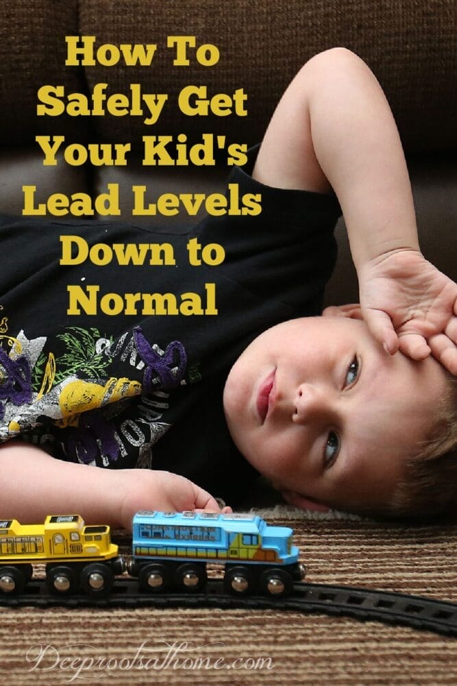 How To Get Your Kid's Lead Levels Down to Normal