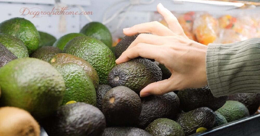 Full List of Grocers / Produce Farms Selling Items Coated w/ Apeel