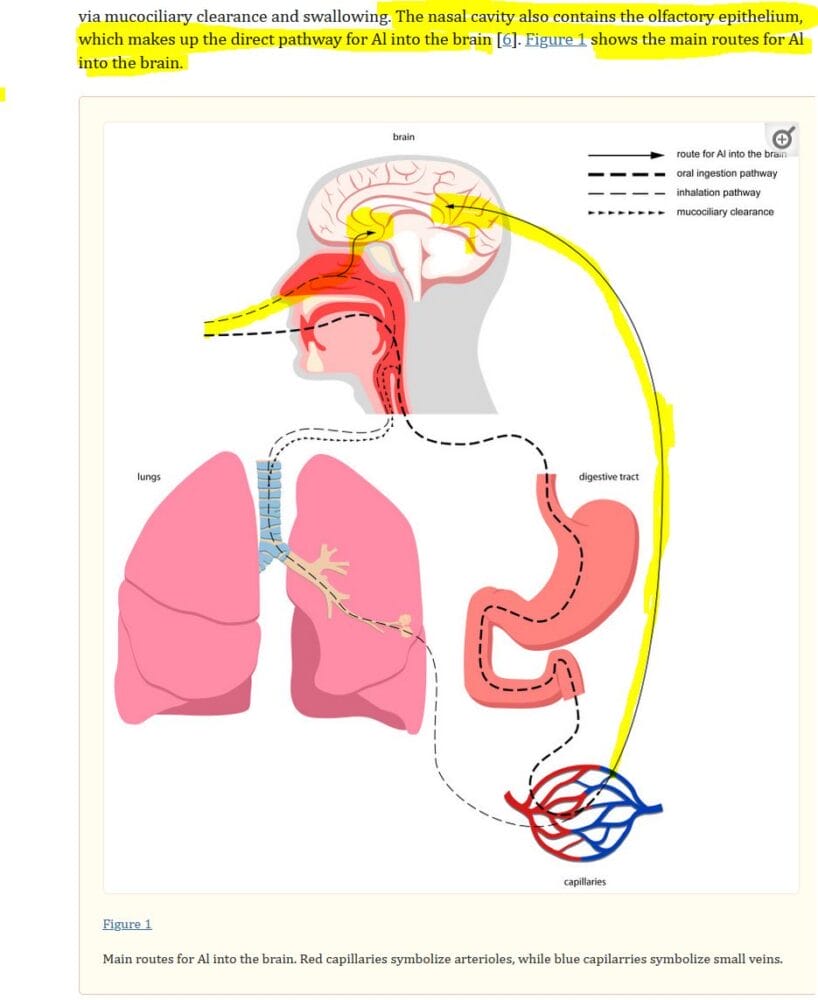 What To Do About the Aluminum & Barium We're Breathing?