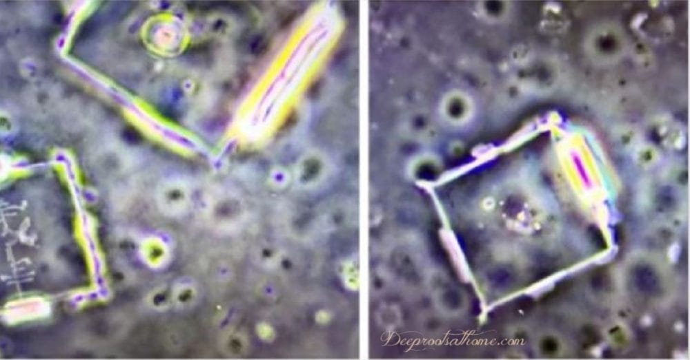 Scientists Find Graphene & Nanotechnology In Dental Anesthetics!