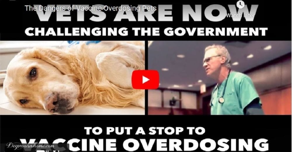 Top Vet Speaks Out: Over-Vaccinating Kills Pets. Titer Test Instead