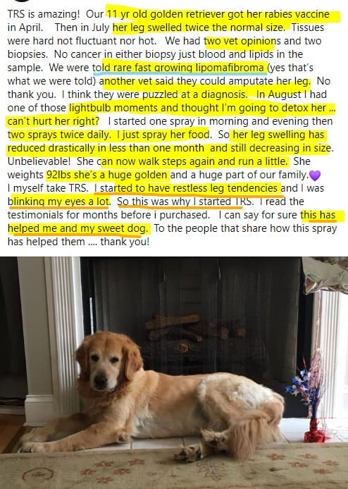Top Vet Speaks Out: Over-Vaccinating Kills Pets. Titer Test Instead