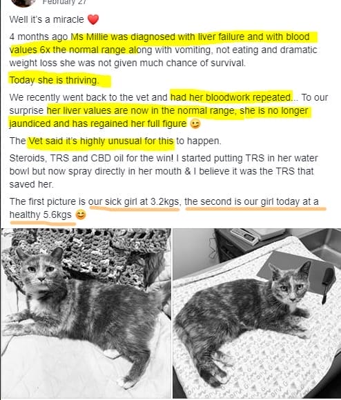 Top Vet Speaks Out: Over-Vaccinating Kills Pets. Titer Test Instead