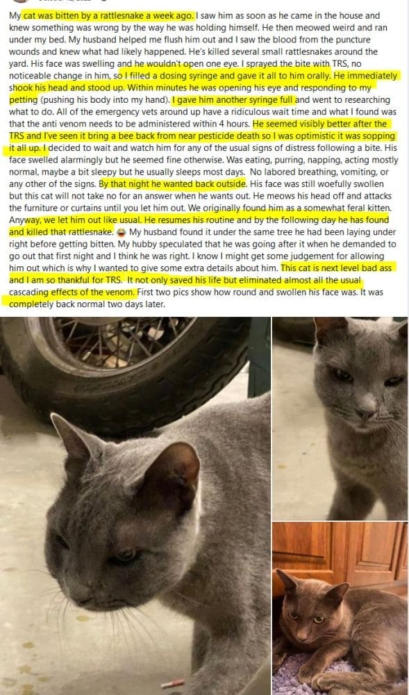 Top Vet Speaks Out: Over-Vaccinating Kills Pets. Titer Test Instead