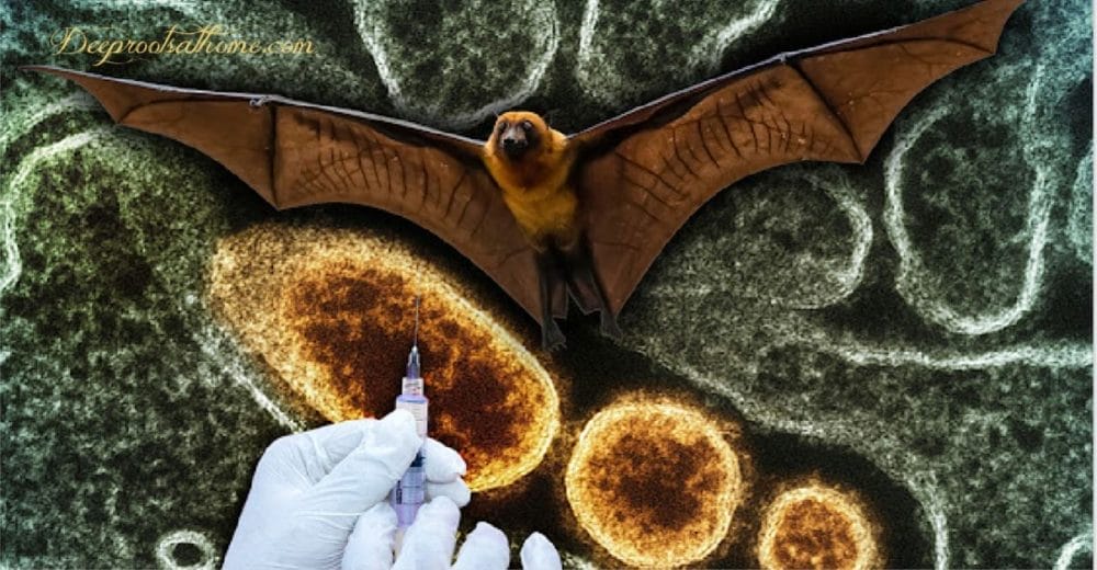 So How Do We Prepare For Nipah Virus, If Ever Needed? So How Do We Prepare For Predicted Nipah Virus Plandemic?