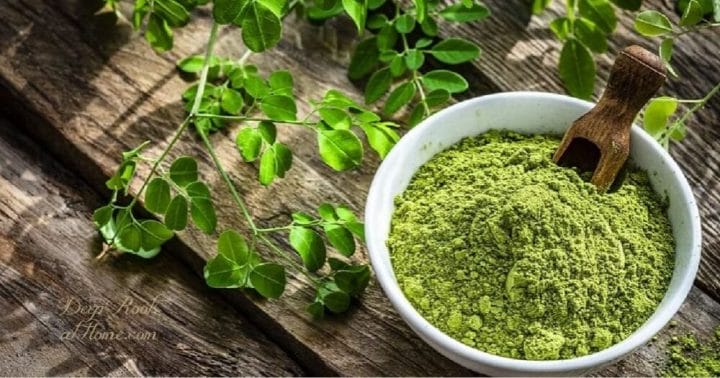 Moringa: No Wonder You’re Seeing This Superfood Everywhere
